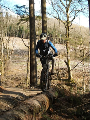 There's something to challenge everyone at Brechfa forest trails