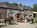 Five Saints Riding Centre