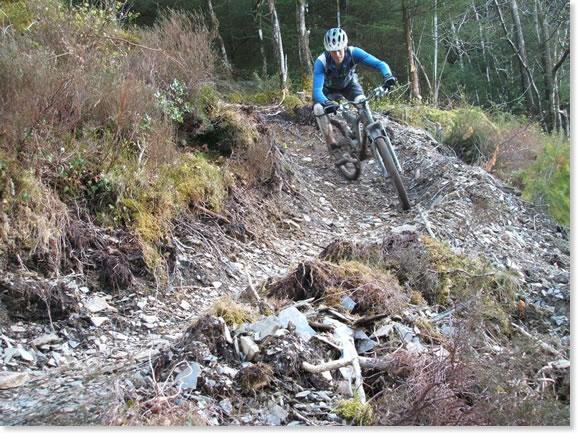 jumbo team cycling